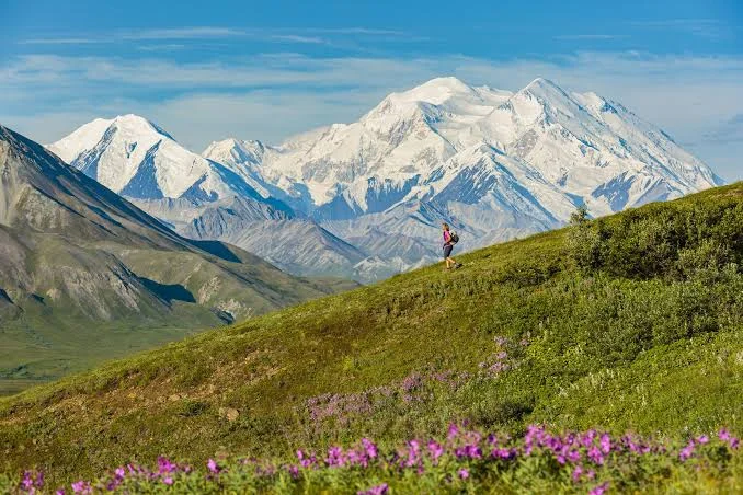 Denali State Park