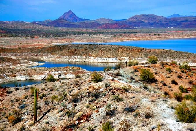 Alamo Lake State Park