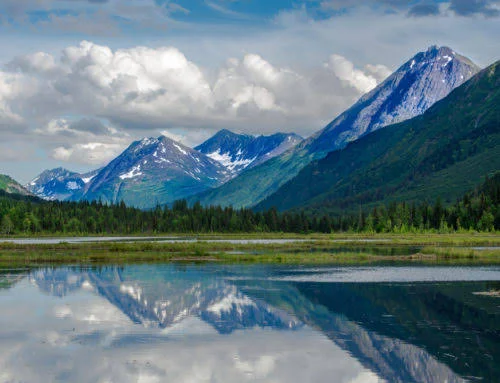 Chugach National Forest