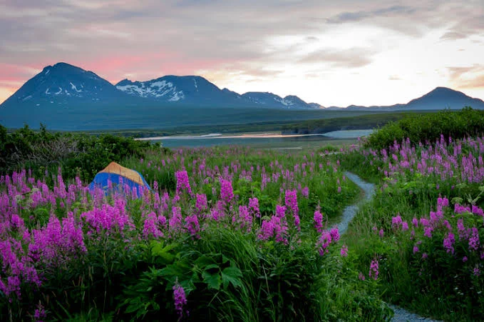 Kachemak Bay State Park