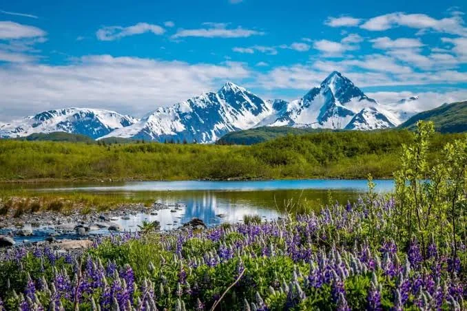 Kenai Fjords National Park