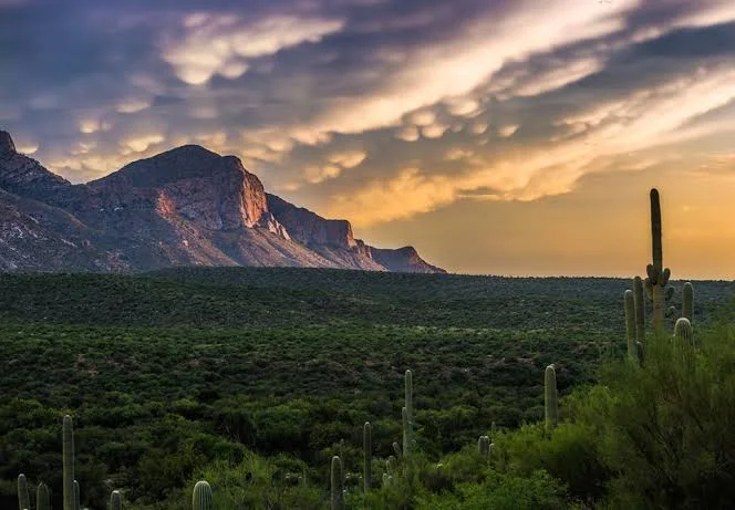 Catalina State Park