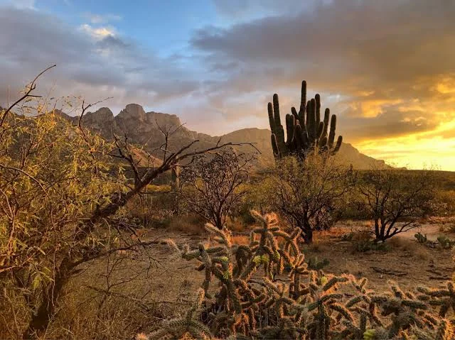 Catalina State Park