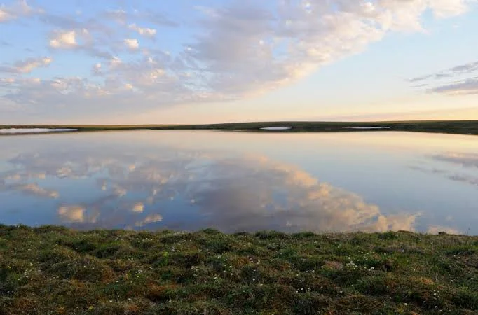 Izembek National Wildlife Refuge