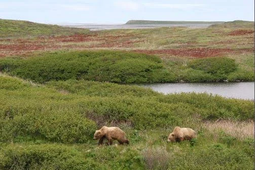 Kanuti National Wildlife Refuge