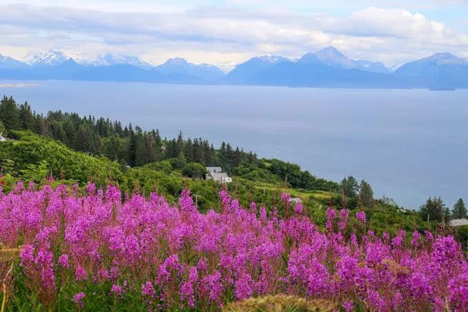 Kachemak Bay State Park