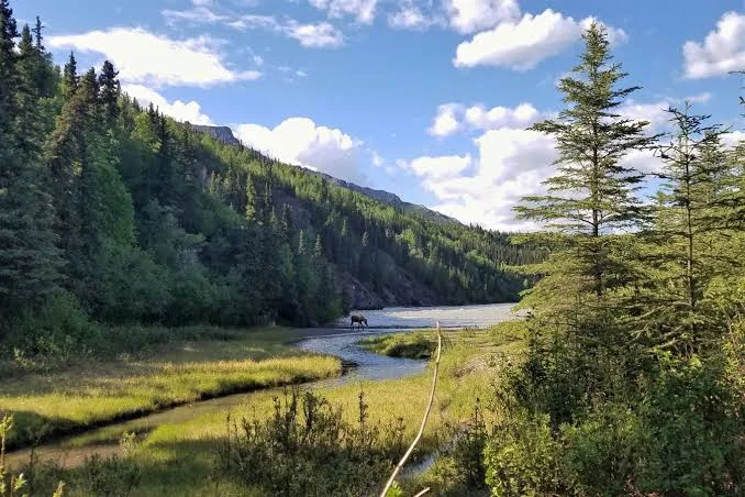 Denali State Park