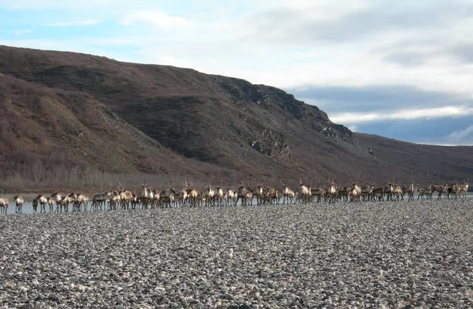 Noatak National Preserve