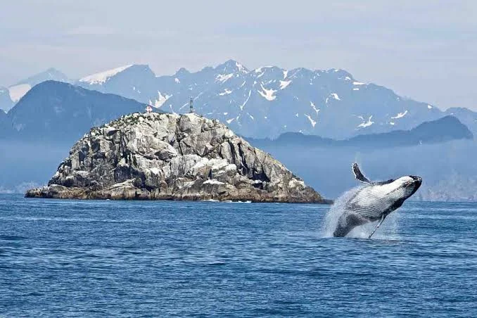 Kenai Fjords National Park