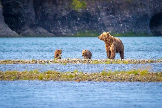 Kobuk Valley National Park