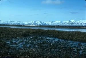 Izembek National Wildlife Refuge