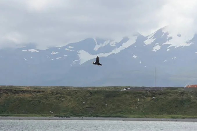 Izembek National Wildlife Refuge