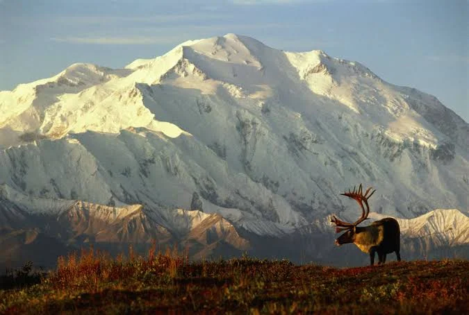 Denali State Park