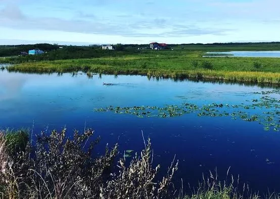 Yukon Delta National Wildlife Refuge