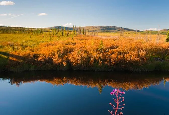 Kanuti National Wildlife Refuge