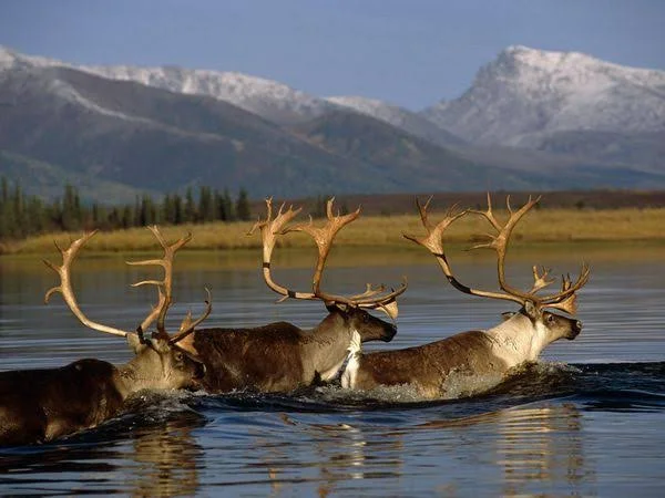 Kobuk Valley National Park