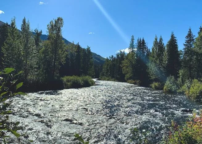 Resurrection Pass National Recreation Trail