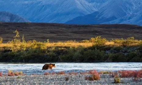 Kanuti National Wildlife Refuge