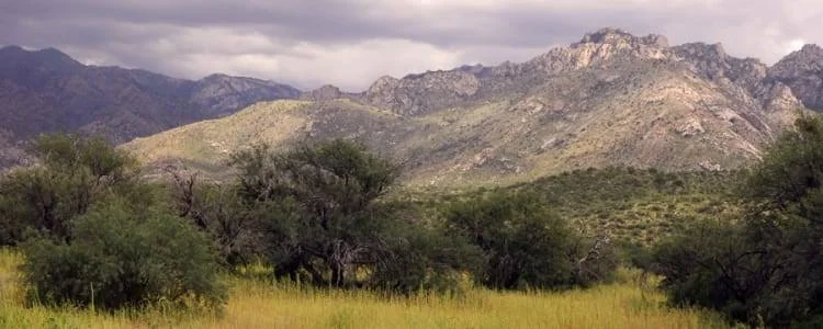 Catalina State Park