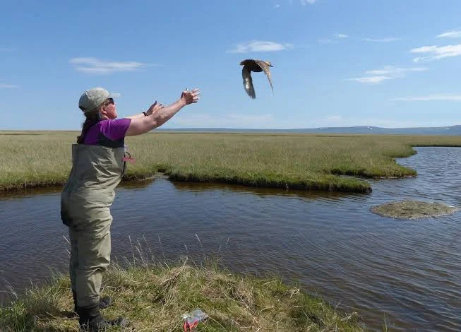 Yukon Delta National Wildlife Refuge