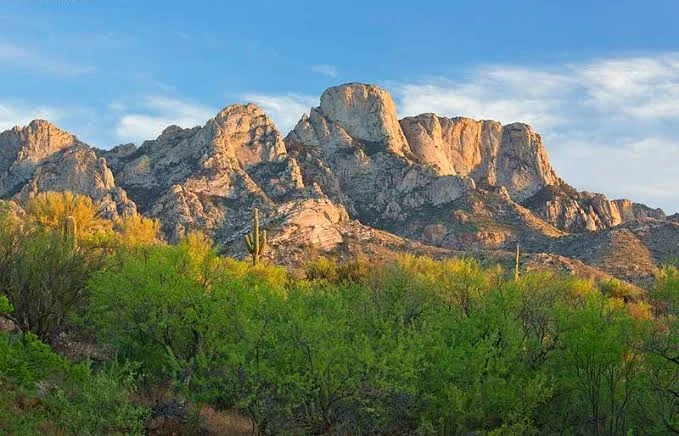 Catalina State Park