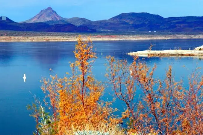 Alamo Lake State Park