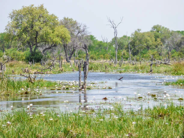 Semidi-National-Wildlife-Refuge