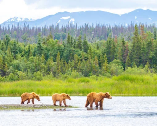 Katmai National Park and Preserve