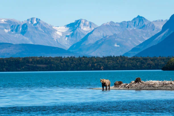 Katmai National Park and Preserve