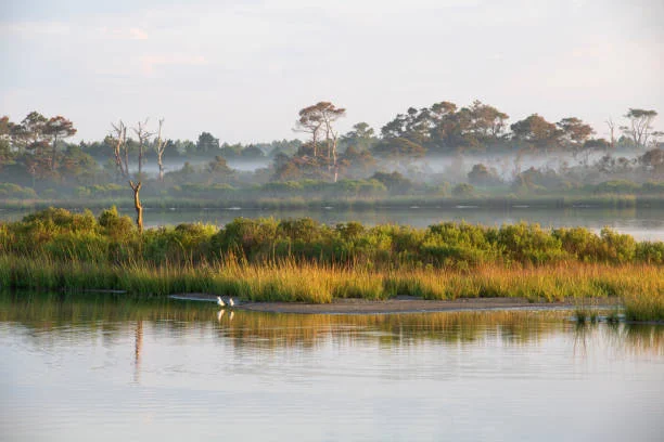 Hazy Islands National Wildlife Refuge