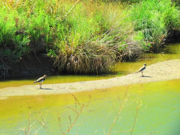 Semidi-National-Wildlife-Refuge