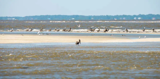 Hazy Islands National Wildlife Refuge