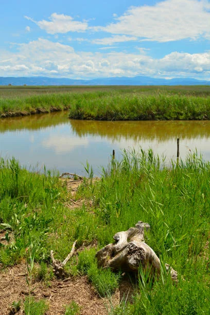 Simeonof National Wildlife Refuge