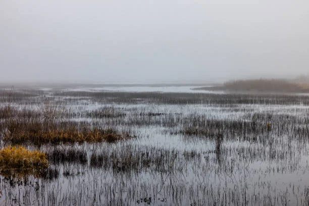 Hazy Islands National Wildlife Refuge