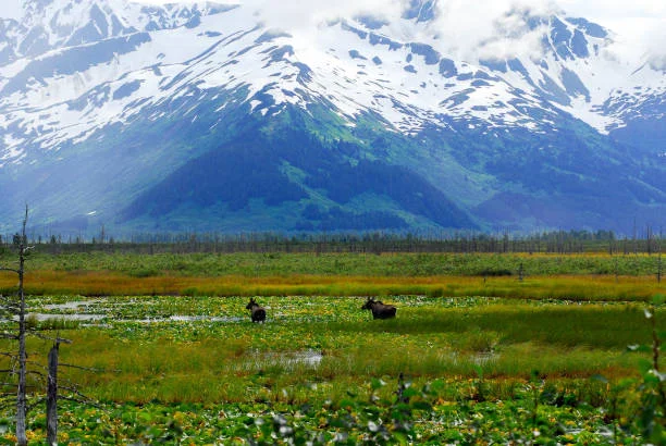 Innoko National Wildlife Refuge