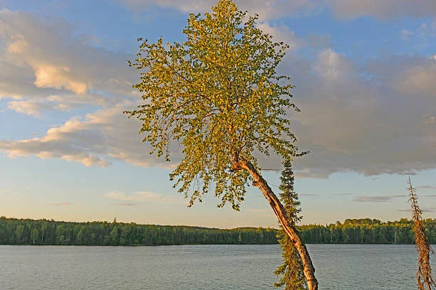 Innoko National Wildlife Refuge