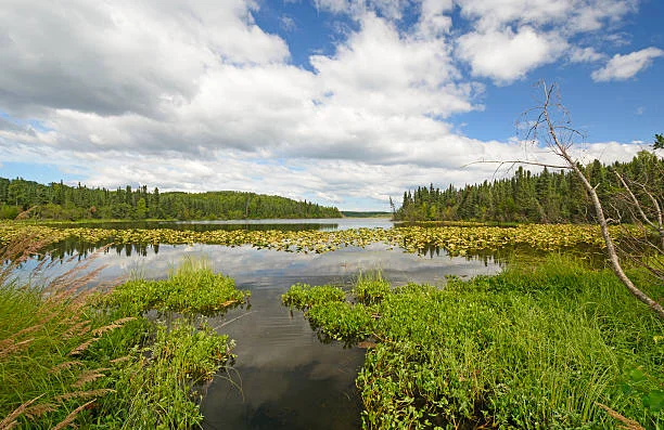 Innoko National Wildlife Refuge