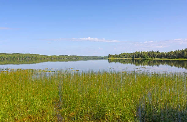 Innoko National Wildlife Refuge