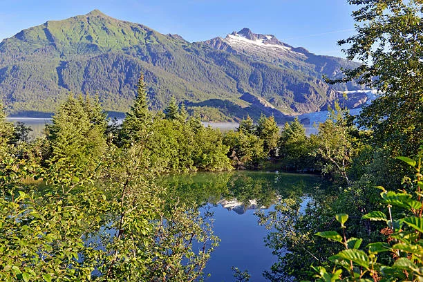 Tongass National Forest