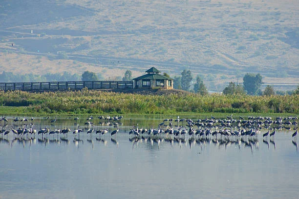 Semidi-National-Wildlife-Refuge