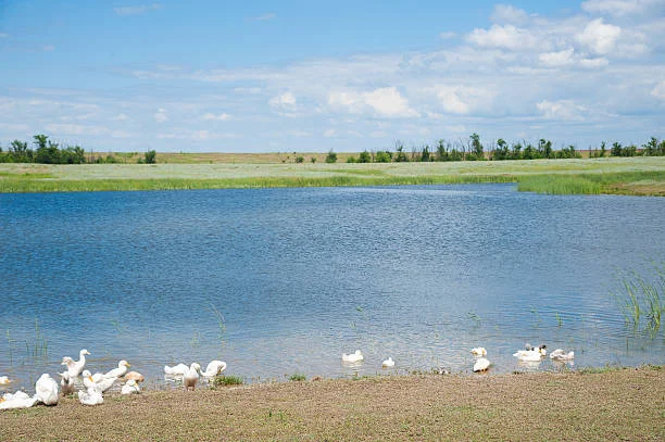 Simeonof National Wildlife Refuge