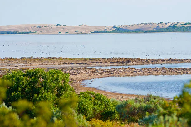 Semidi-National-Wildlife-Refuge