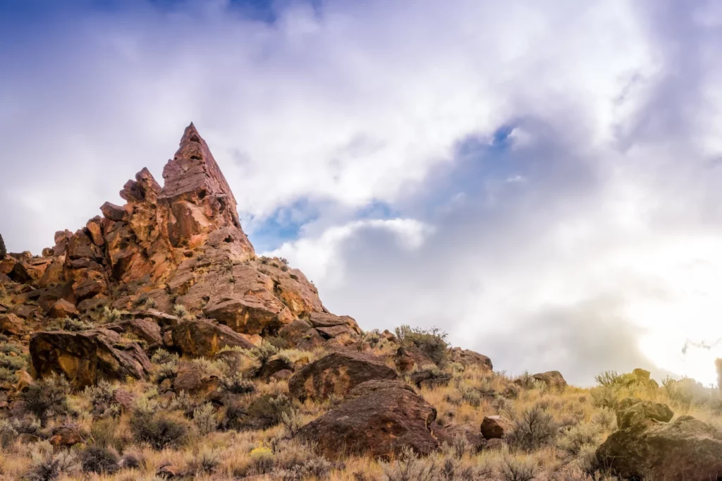 Chamisso National Wildlife Refuge