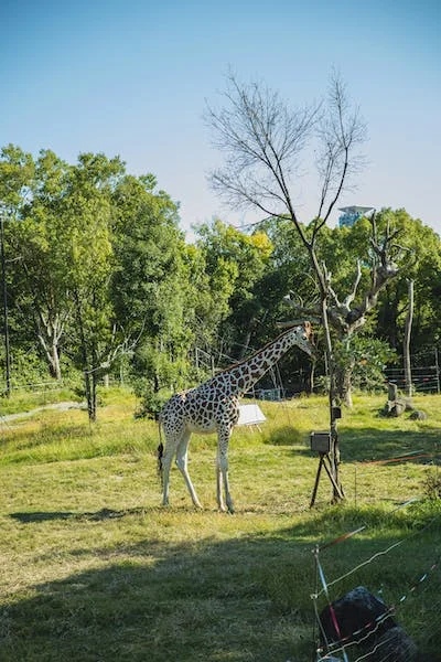 Chamisso National Wildlife Refuge