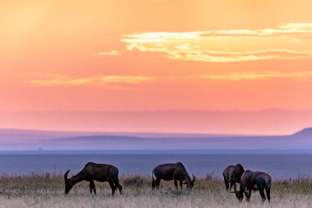 Chamisso National Wildlife Refuge