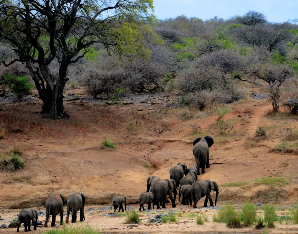 Chamisso National Wildlife Refuge