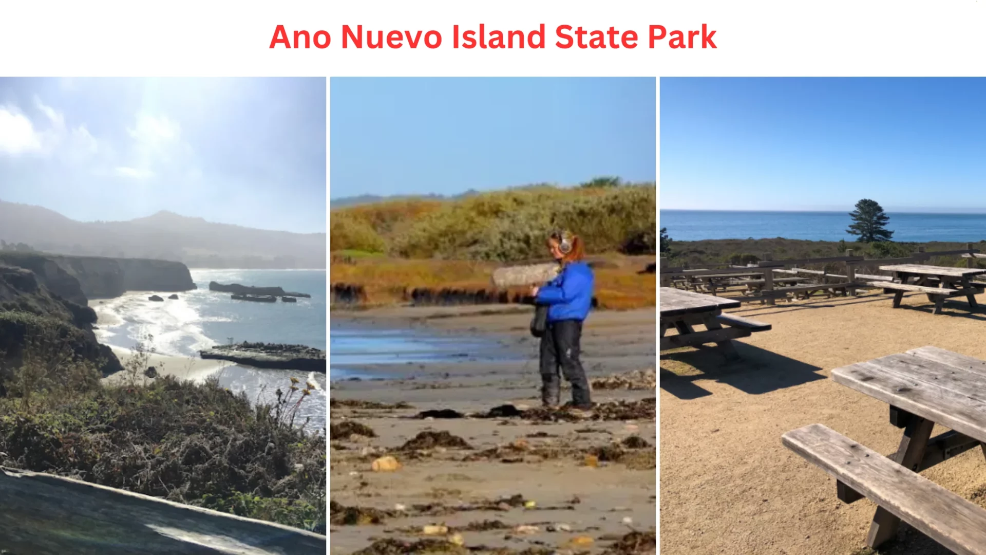 Ano Nuevo Island State Park