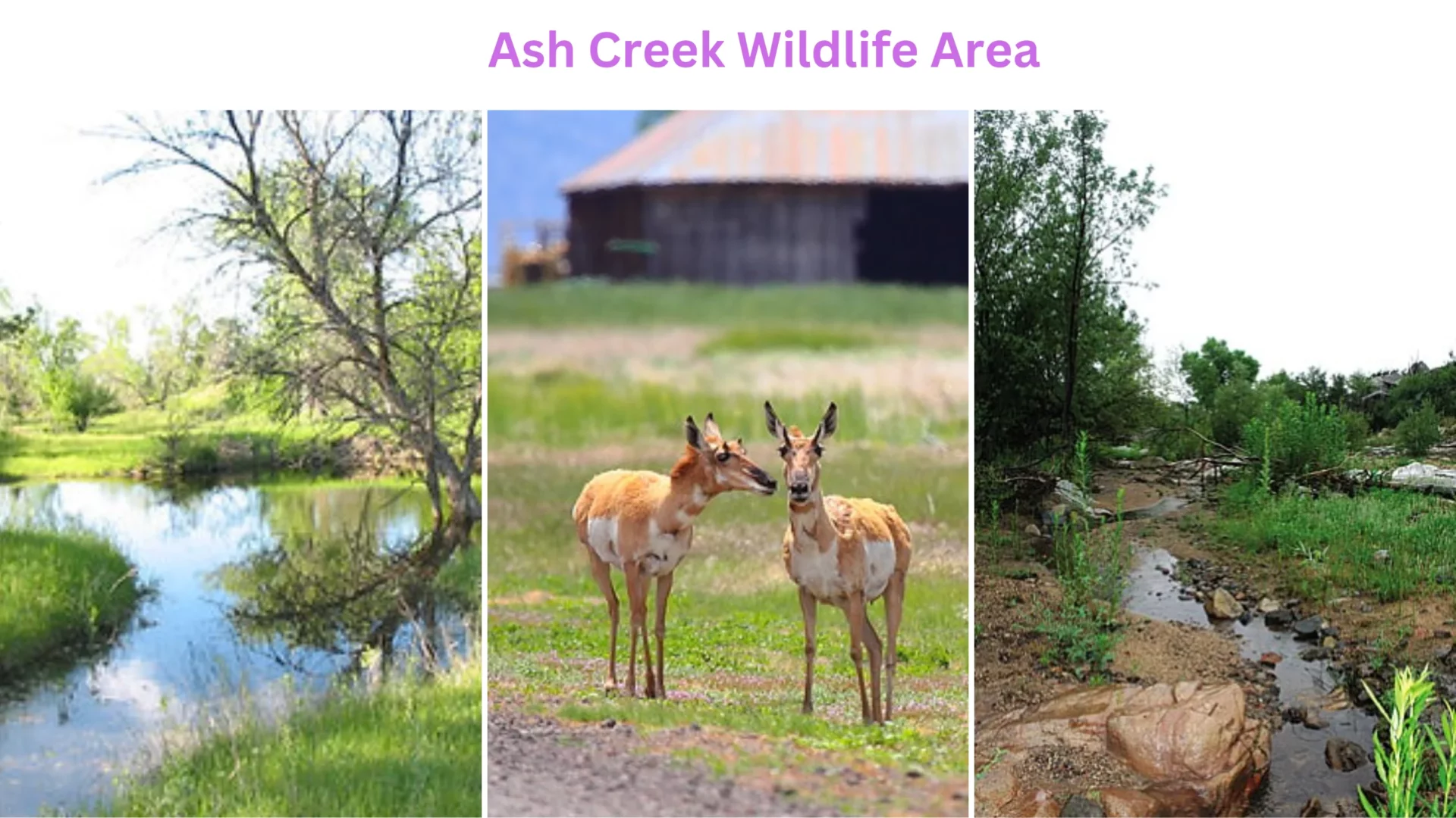 Ash Creek Wildlife Area