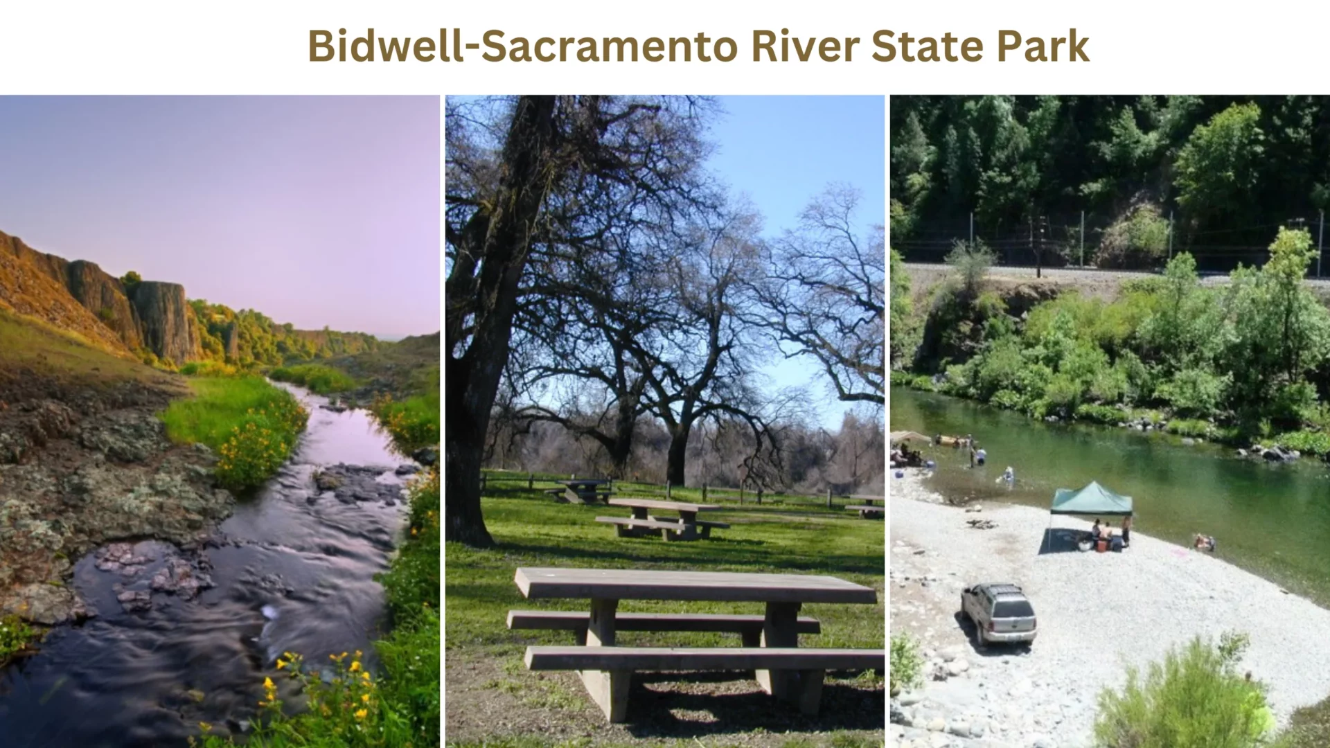 Bidwell-Sacramento River State Park