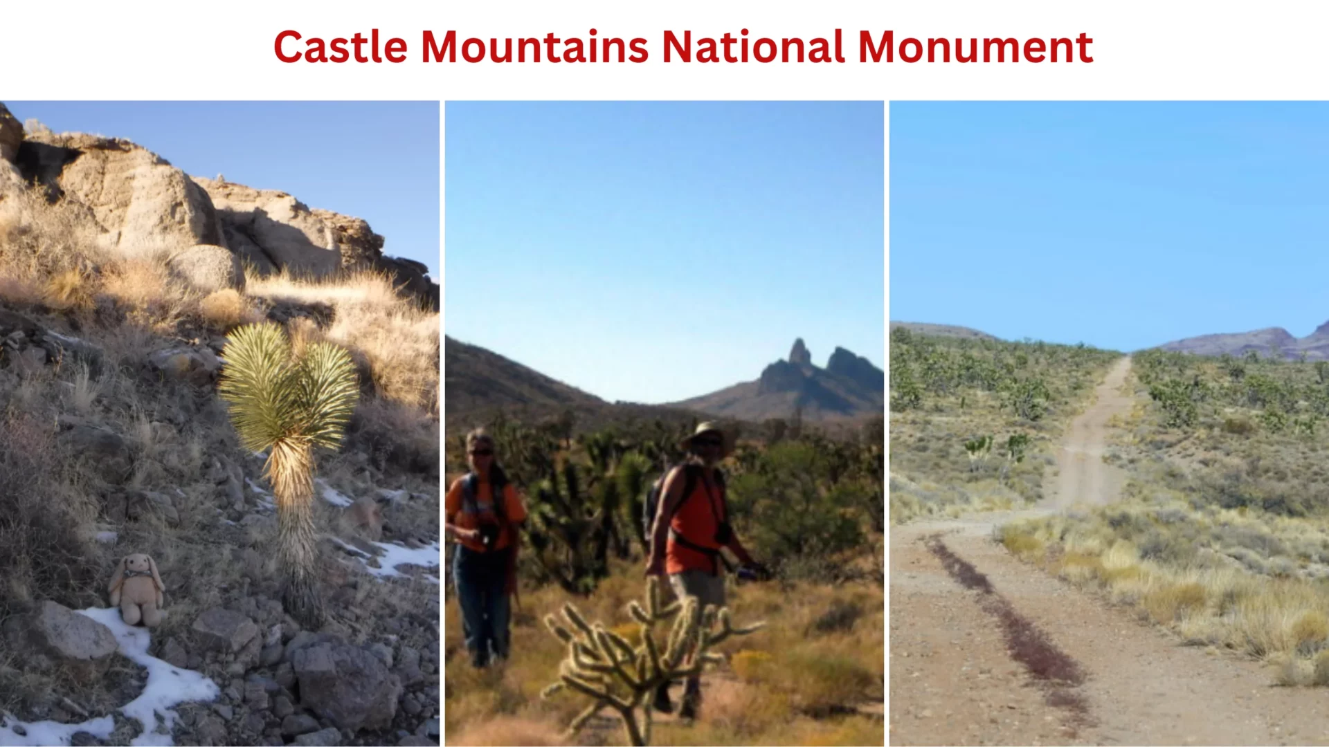 Castle Mountains National Monument